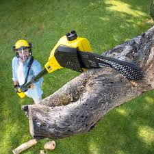 Best Tree and Shrub Care  in South Congaree, SC